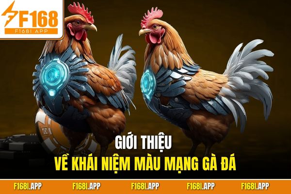 Giới thiệu về khái niệm màu mạng gà đá