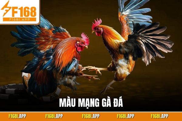Màu Mạng Gà Đá