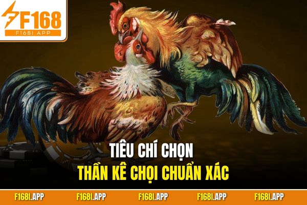 Tiêu chí chọn thần kê chọi chuẩn xác