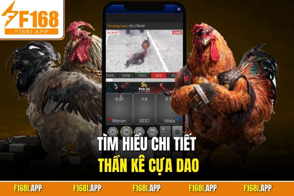 Tìm hiểu chi tiết thần kê cựa dao